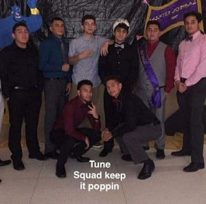 Meet your Posher, Manuel